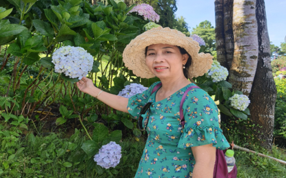 Trái tim hồng của người Trái tim hồng của người