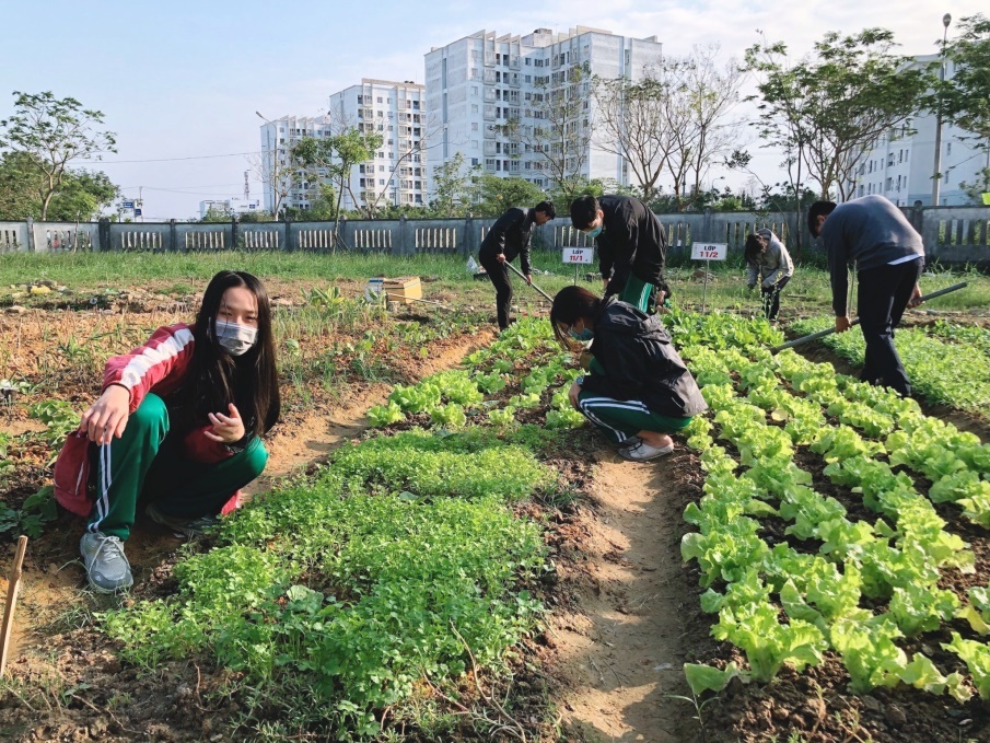 Học sinh trải nghiệm bộ môn sinh học tại vườn rau của nhà trường.