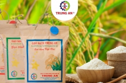 Cơ cấu lại nhân sự công ty, Chủ tịch HĐQT và Tổng Giám đốc TAR xin từ nhiệm