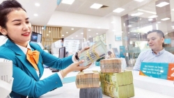 Chính phủ yêu cầu NHNN tiếp tục hạ lãi suất cho vay