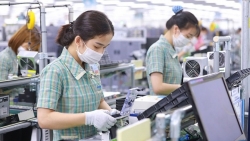 Người lao động được nghỉ 4 ngày liên tiếp dịp Quốc khánh 2/9