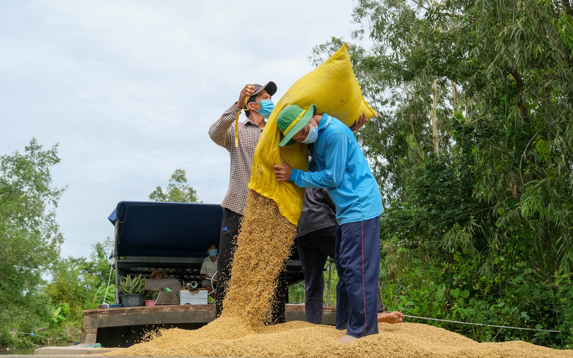 Đào tạo, chuyển đổi nghề cho 1,6 triệu lao động nông thôn ĐBSCL