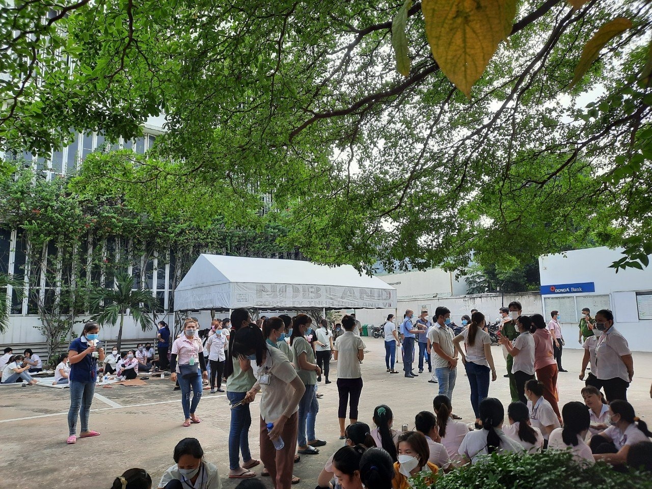 Nobland Việt Nam ngừng phương án cắt giảm hơn 600 lao động