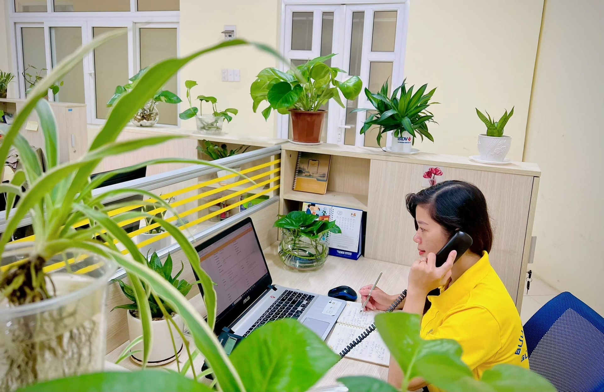 Bưu điện tỉnh Gia Lai tuyển dụng nhiều vị trí tại khối văn phòng Bưu điện tỉnh Gia Lai tuyển dụng nhiều vị trí tại khối văn phòng