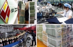 Bộ Tài chính đề xuất 7 hành vi bị cấm trong quản lý và đầu tư vốn nhà nước tại DN