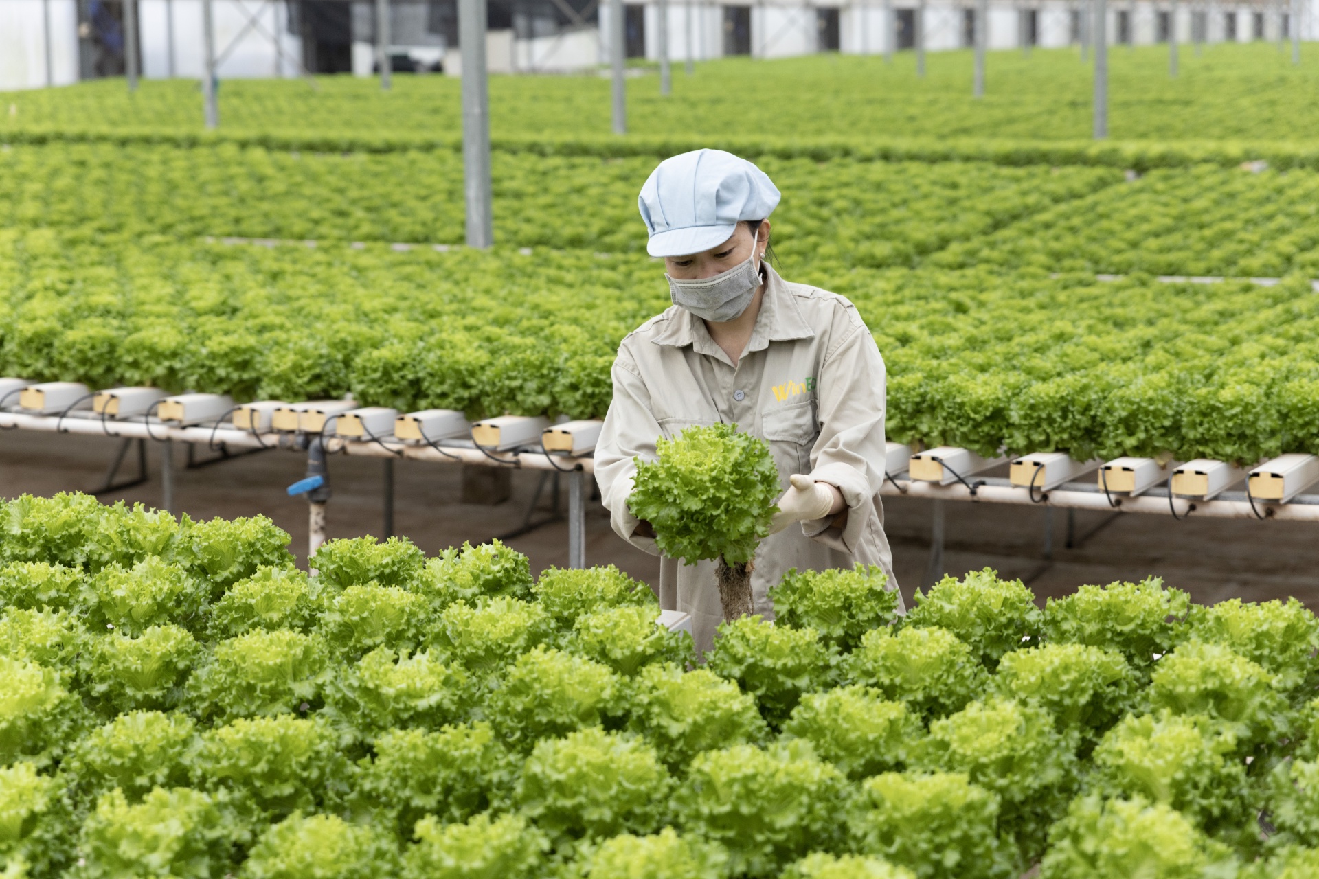 WinCommerce nhận giải “Nhà bán lẻ của năm” tại Asia Fruit Awards 2023