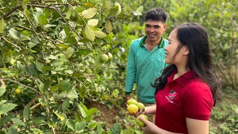 Agribank dành nguồn lực lớn thực hiện mục tiêu quốc gia về xây dựng nông thôn mới