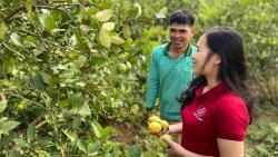 Agribank dành nguồn lực lớn thực hiện mục tiêu quốc gia về xây dựng nông thôn mới