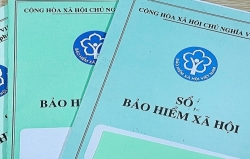 Hải Phòng gọi tên 629 doanh nghiệp chậm đóng BHXH từ 2 tháng trở lên