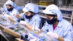 Công ty Sumi-Hanel tuyển dụng hàng ngàn lao động phổ thông đi làm ngay