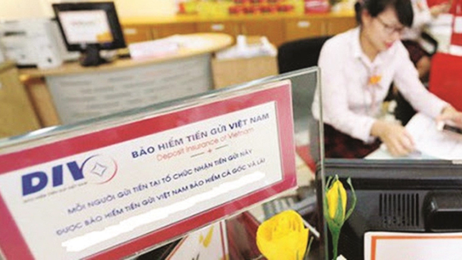 Bảo hiểm tiền gửi tham gia kiểm soát đặc biệt, xử lý các ngân hàng yếu kém ra sao?