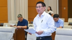 Sẽ thất thu nếu không đánh thuế tối thiểu toàn cầu