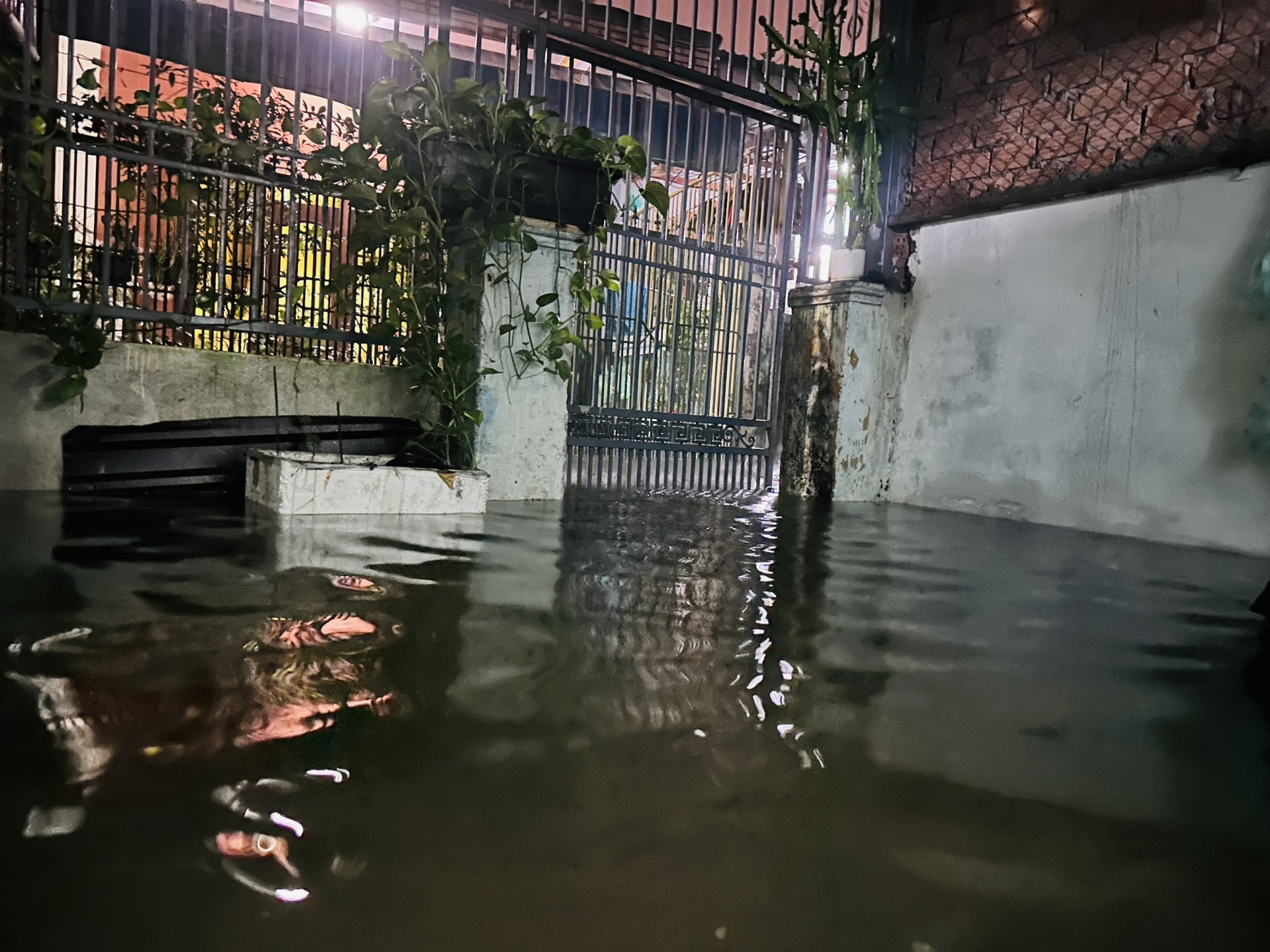 Đà Nẵng: Cổng chính Khu công nghiệp Hòa Khánh bị ngập sâu, nước chảy xiết