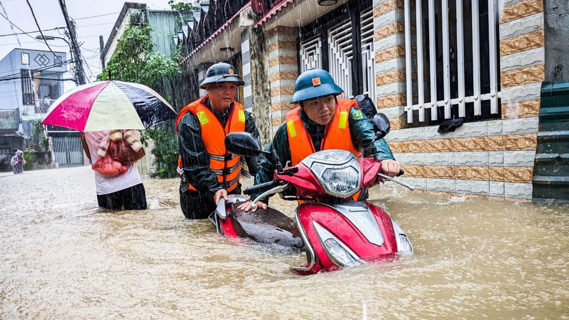 Tiền đổ xuống, cây phải mọc lên!