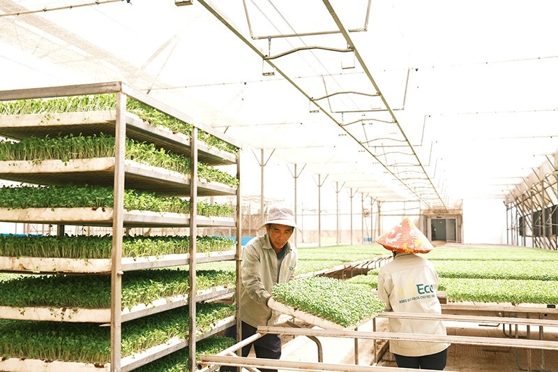 Vì sao WinCommerce đẩy mạnh mở mới mô hình Winmart+ Rural khu vực nông thôn? Vì sao WinCommerce đẩy mạnh mở mới mô hình Winmart+ Rural khu vực nông thôn?