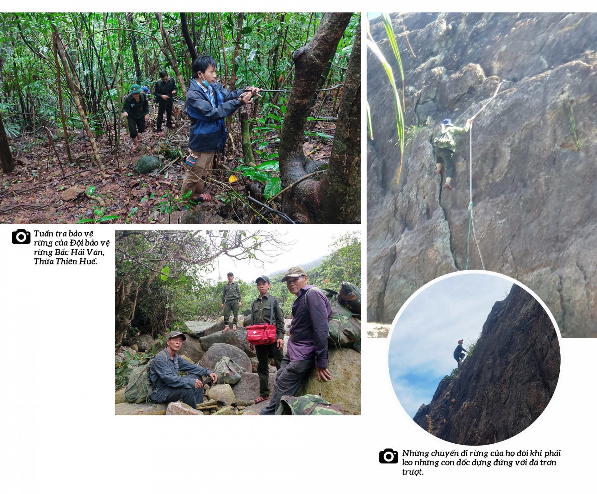 Giữ rừng xanh - cuộc vật lộn của người đi kẻ ở Giữ rừng xanh - cuộc vật lộn của người đi kẻ ở