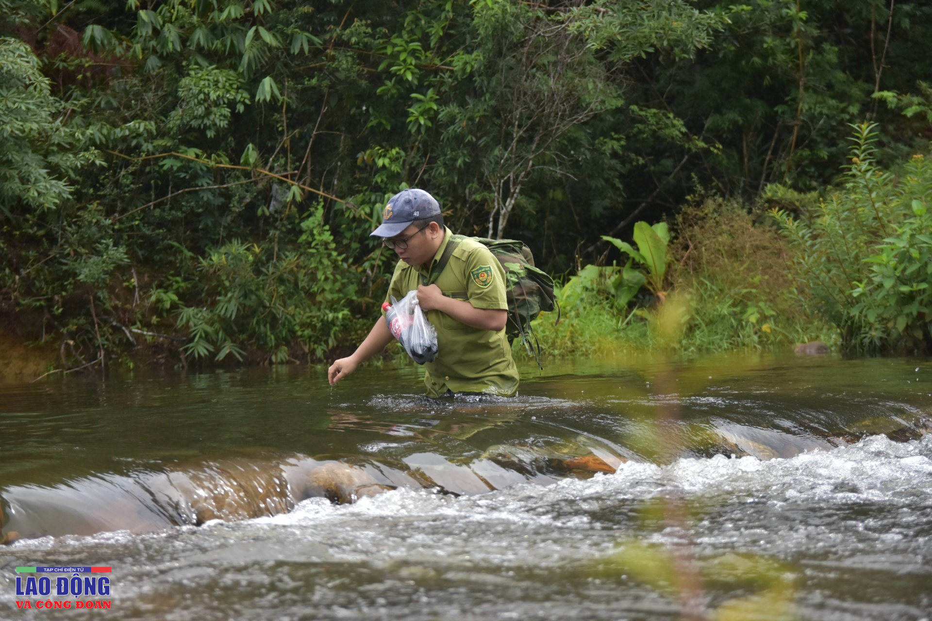 Giữ rừng xanh - cuộc vật lộn của người đi kẻ ở Giữ rừng xanh - cuộc vật lộn của người đi kẻ ở