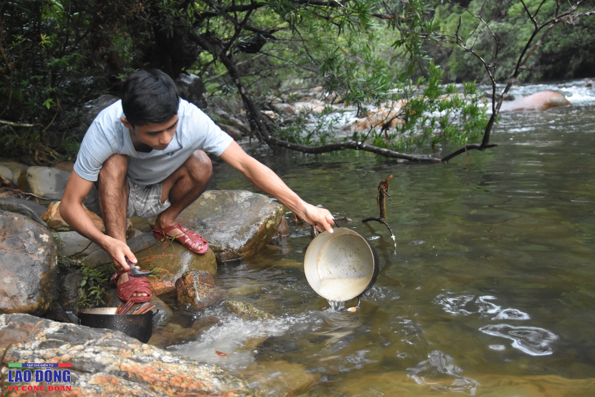 Giữ rừng xanh - cuộc vật lộn của người đi kẻ ở Giữ rừng xanh - cuộc vật lộn của người đi kẻ ở