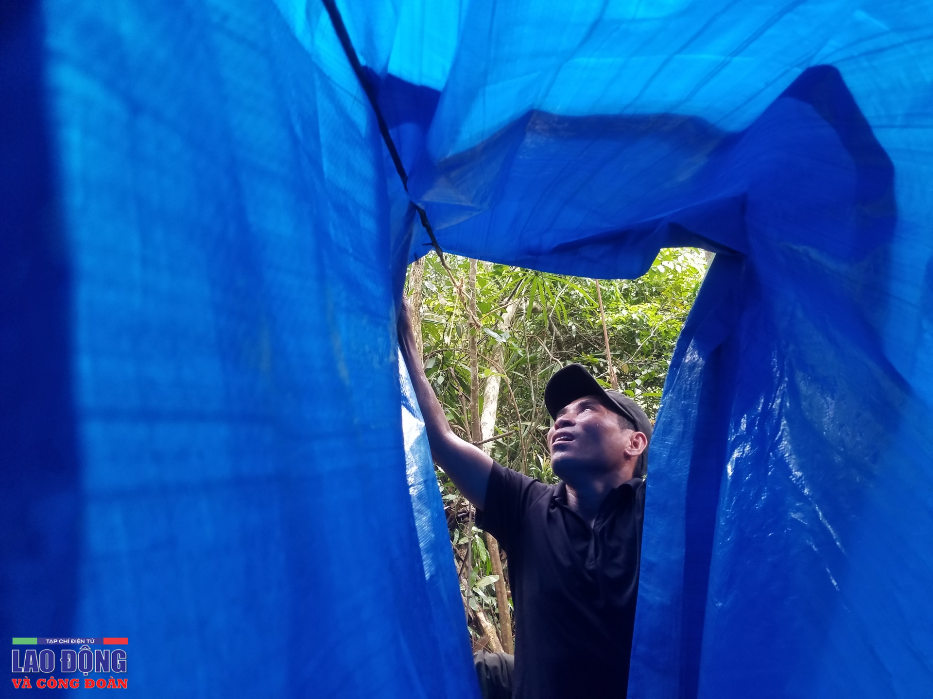 Giữ rừng xanh - cuộc vật lộn của người đi kẻ ở Giữ rừng xanh - cuộc vật lộn của người đi kẻ ở