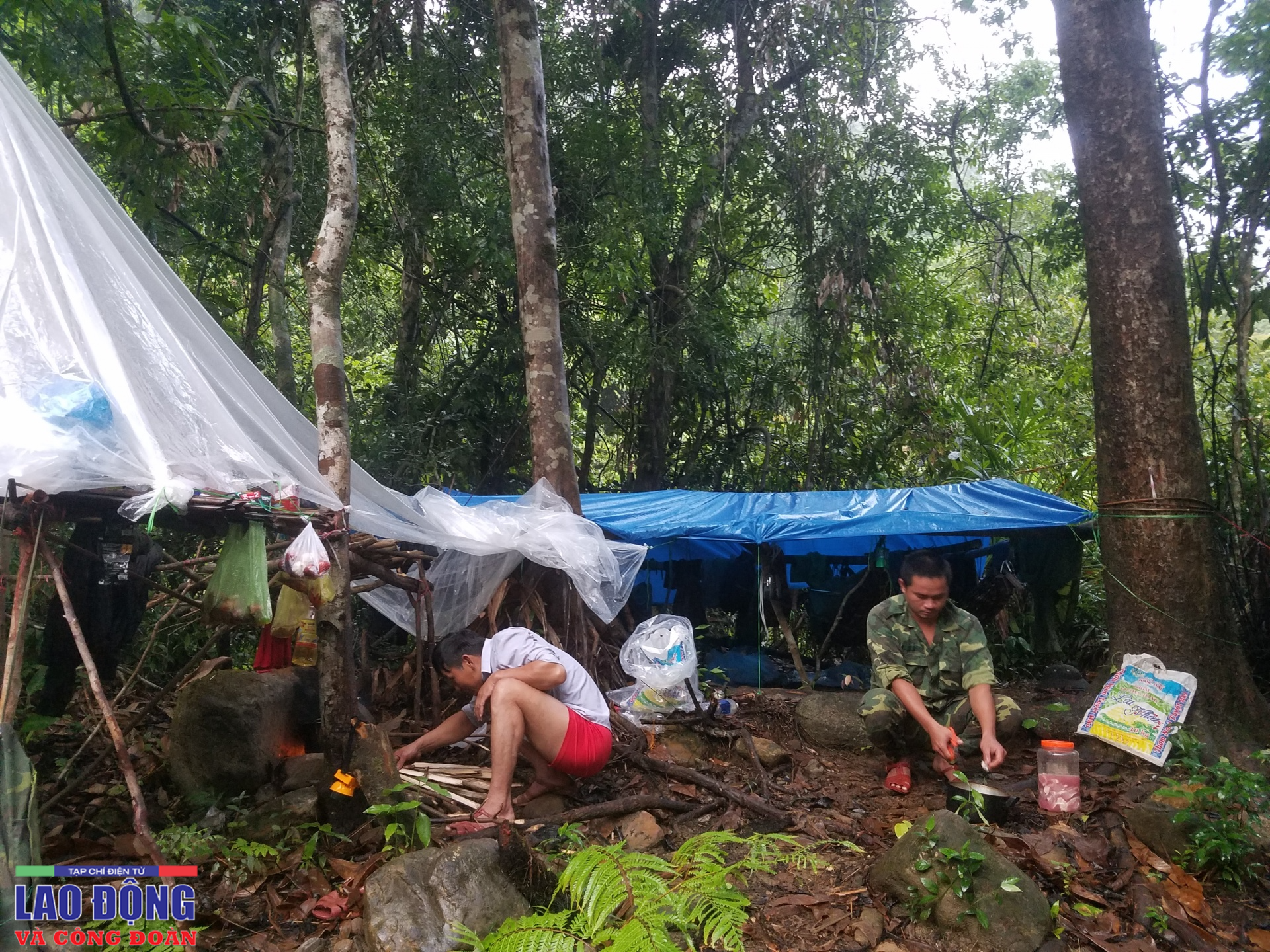 Giữ rừng xanh - cuộc vật lộn của người đi kẻ ở Giữ rừng xanh - cuộc vật lộn của người đi kẻ ở