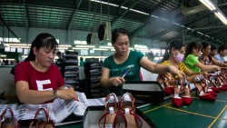 Thưởng Tết 2024: cao nhất gần 5,7 tỷ đồng, thấp nhất 100 nghìn đồng