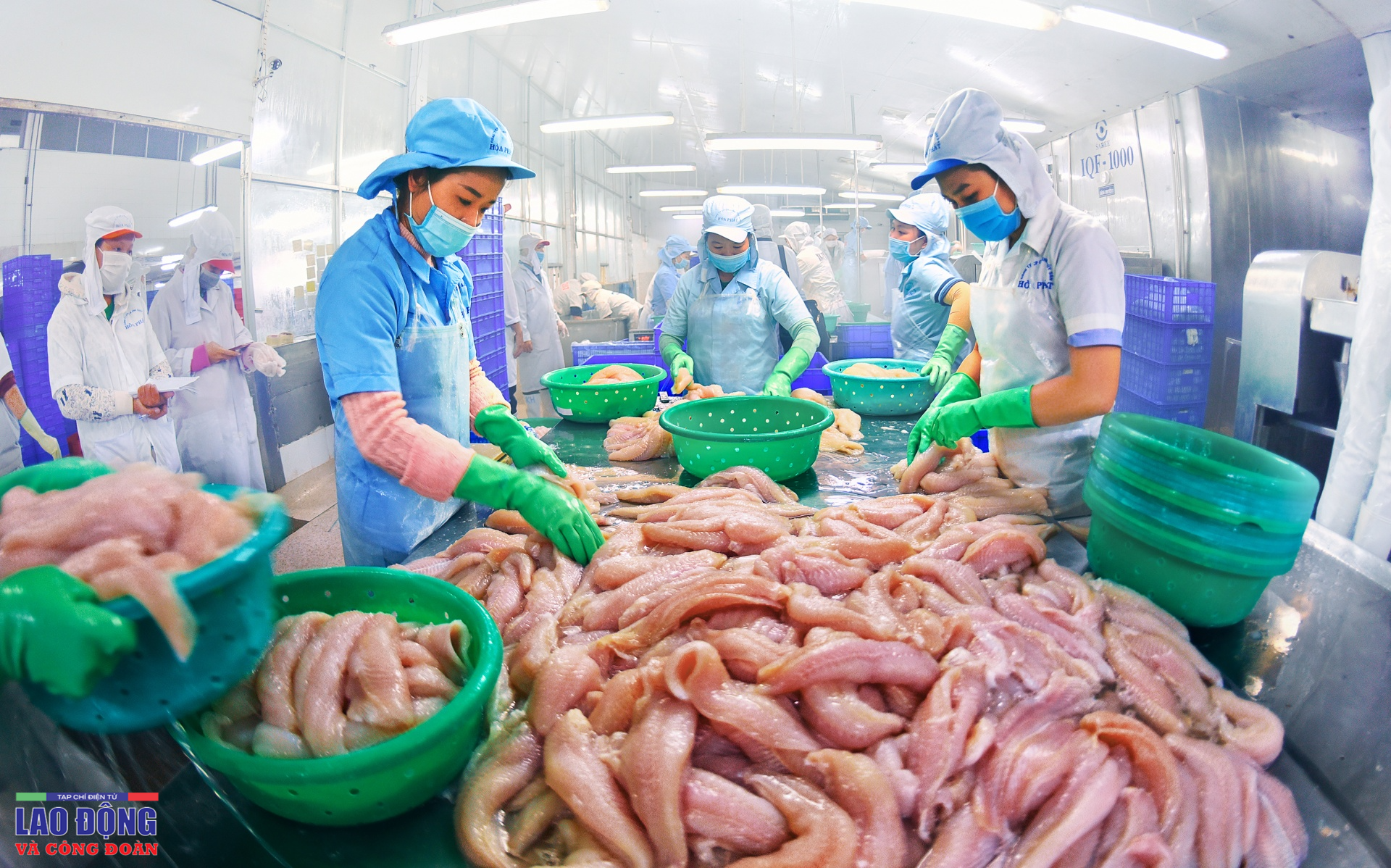 Những giọt mồ hôi thầm lặng