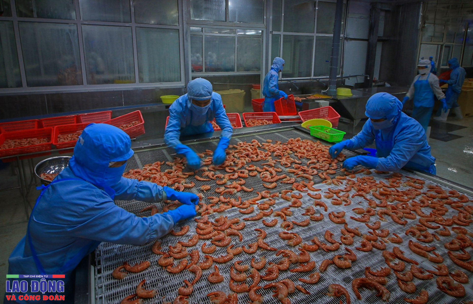 Những giọt mồ hôi thầm lặng