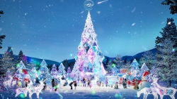 Xuất hiện khu rừng pha lê cùng cây thông giáng sinh nhiều màu sắc nhất mùa Noel 2024