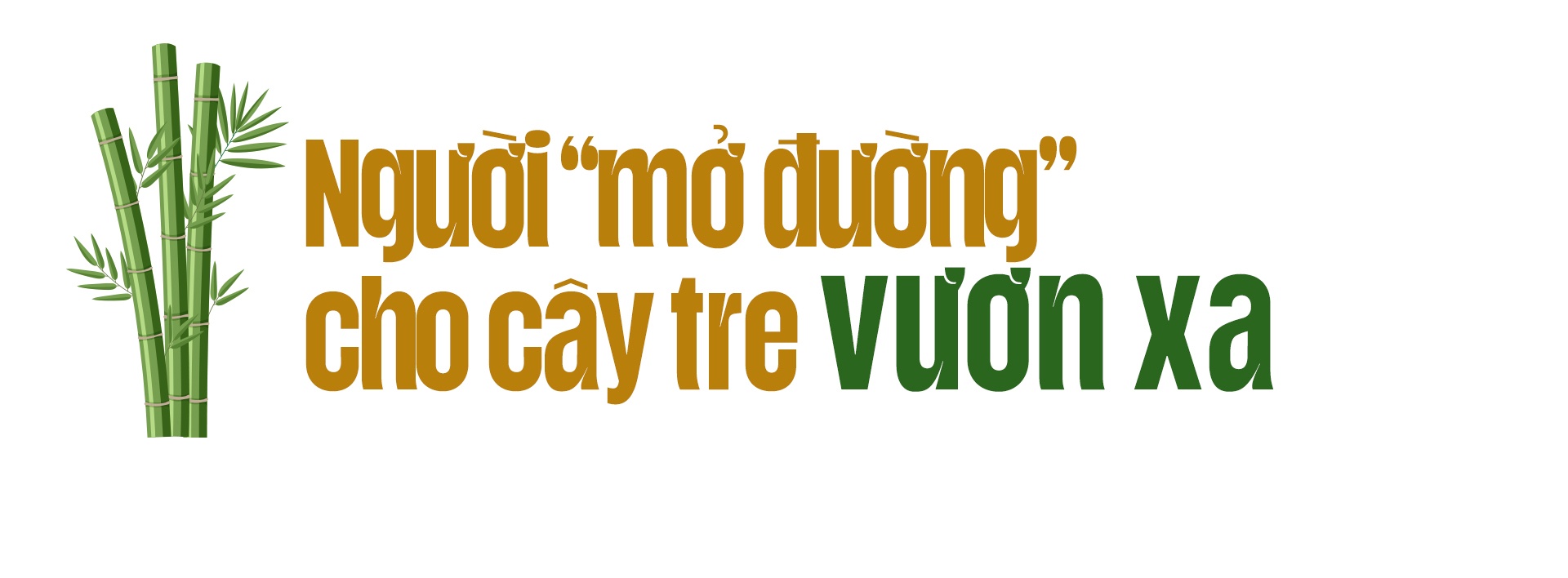 Giữ “hồn quê” cho cây tre Việt Giữ “hồn quê” cho cây tre Việt