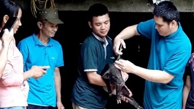 Hà Giang: Nhiều chính sách trợ giúp người khuyết tật