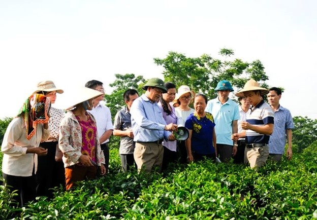 Đa dạng hóa sinh kế, tạo việc làm và xây dựng mô hình giảm nghèo bền vững Đa dạng hóa sinh kế, tạo việc làm và xây dựng mô hình giảm nghèo bền vững