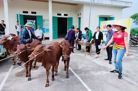 Đa dạng hóa sinh kế, tạo việc làm và xây dựng mô hình giảm nghèo bền vững Đa dạng hóa sinh kế, tạo việc làm và xây dựng mô hình giảm nghèo bền vững
