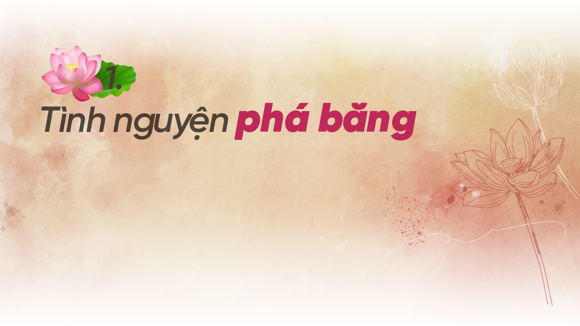 “Ông Hội đồng” đưa Sen Hồng ra thế giới “Ông Hội đồng” đưa Sen Hồng ra thế giới