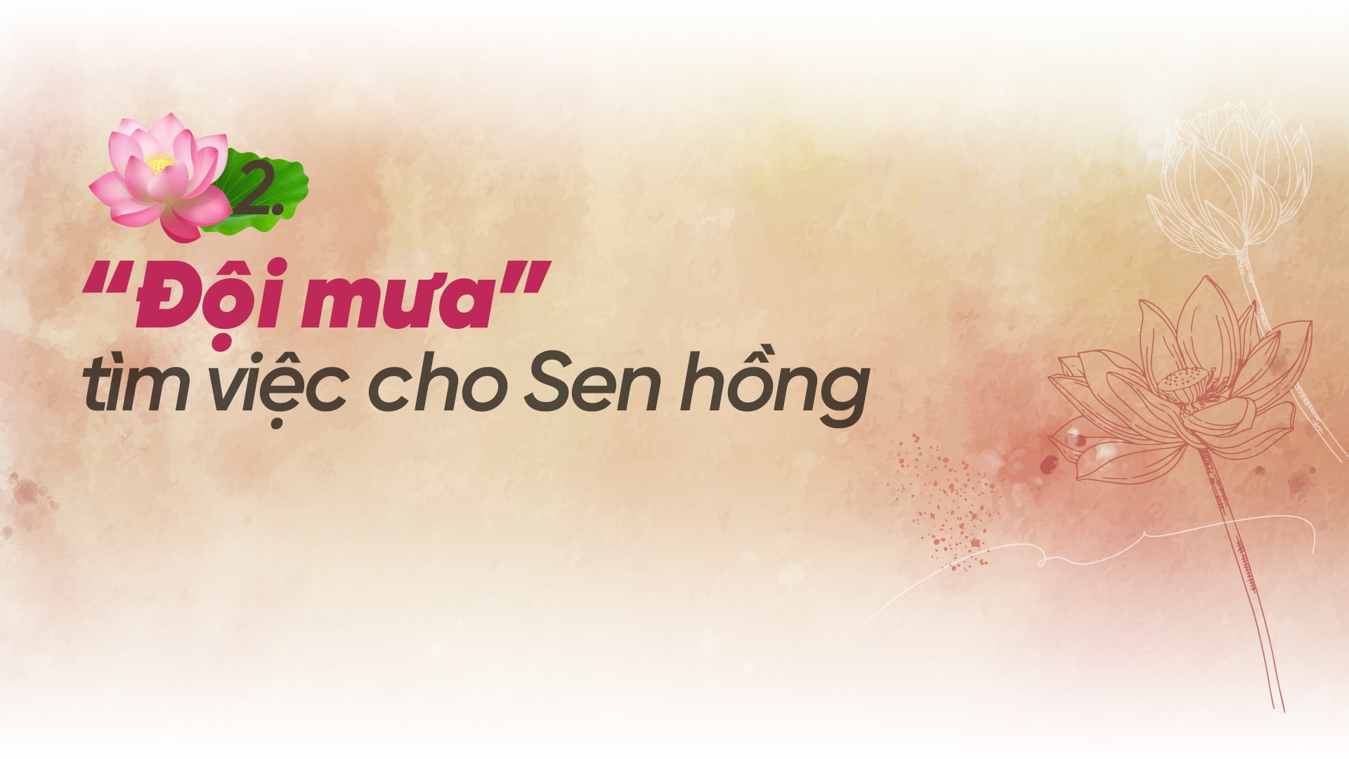 “Ông Hội đồng” đưa Sen Hồng ra thế giới “Ông Hội đồng” đưa Sen Hồng ra thế giới
