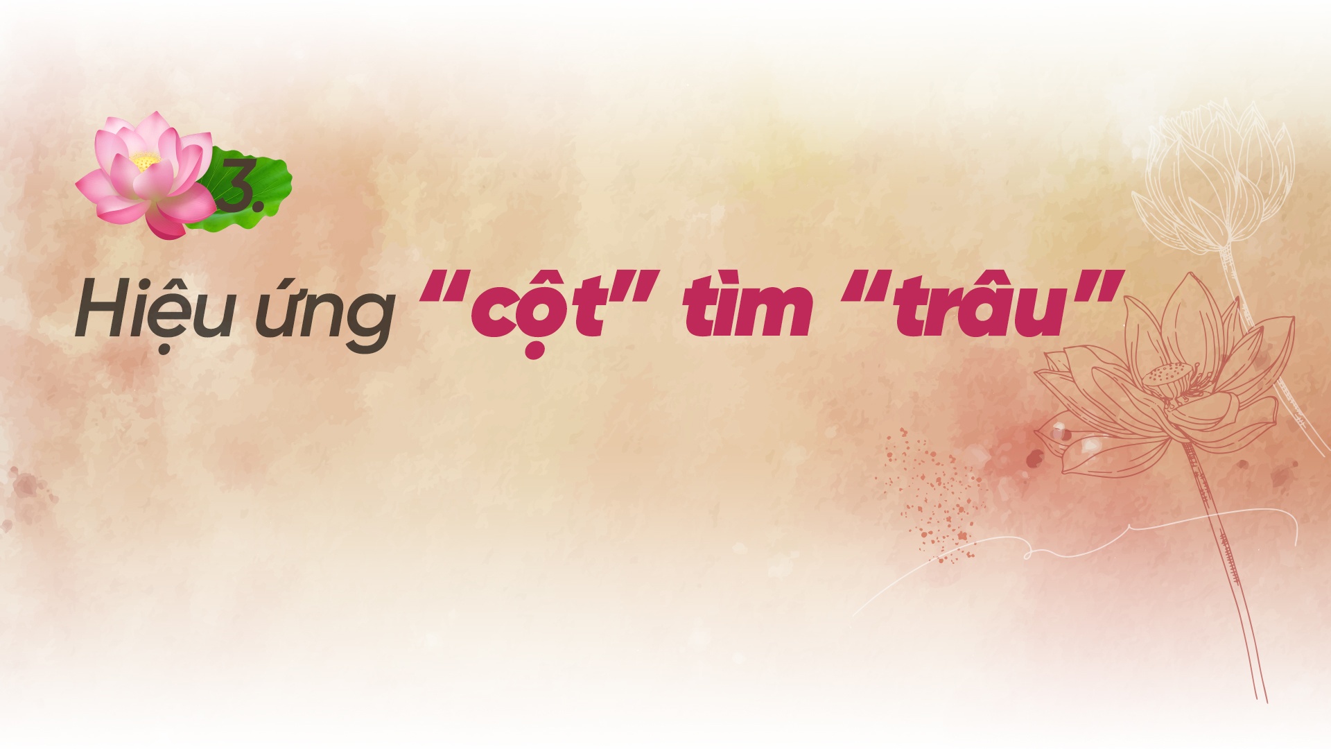 “Ông Hội đồng” đưa Sen Hồng ra thế giới “Ông Hội đồng” đưa Sen Hồng ra thế giới