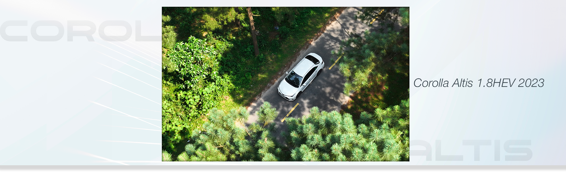 Corolla Altis: Người bạn tin tưởng trong hành trình lập nghiệp Corolla Altis: Người bạn tin tưởng trong hành trình lập nghiệp