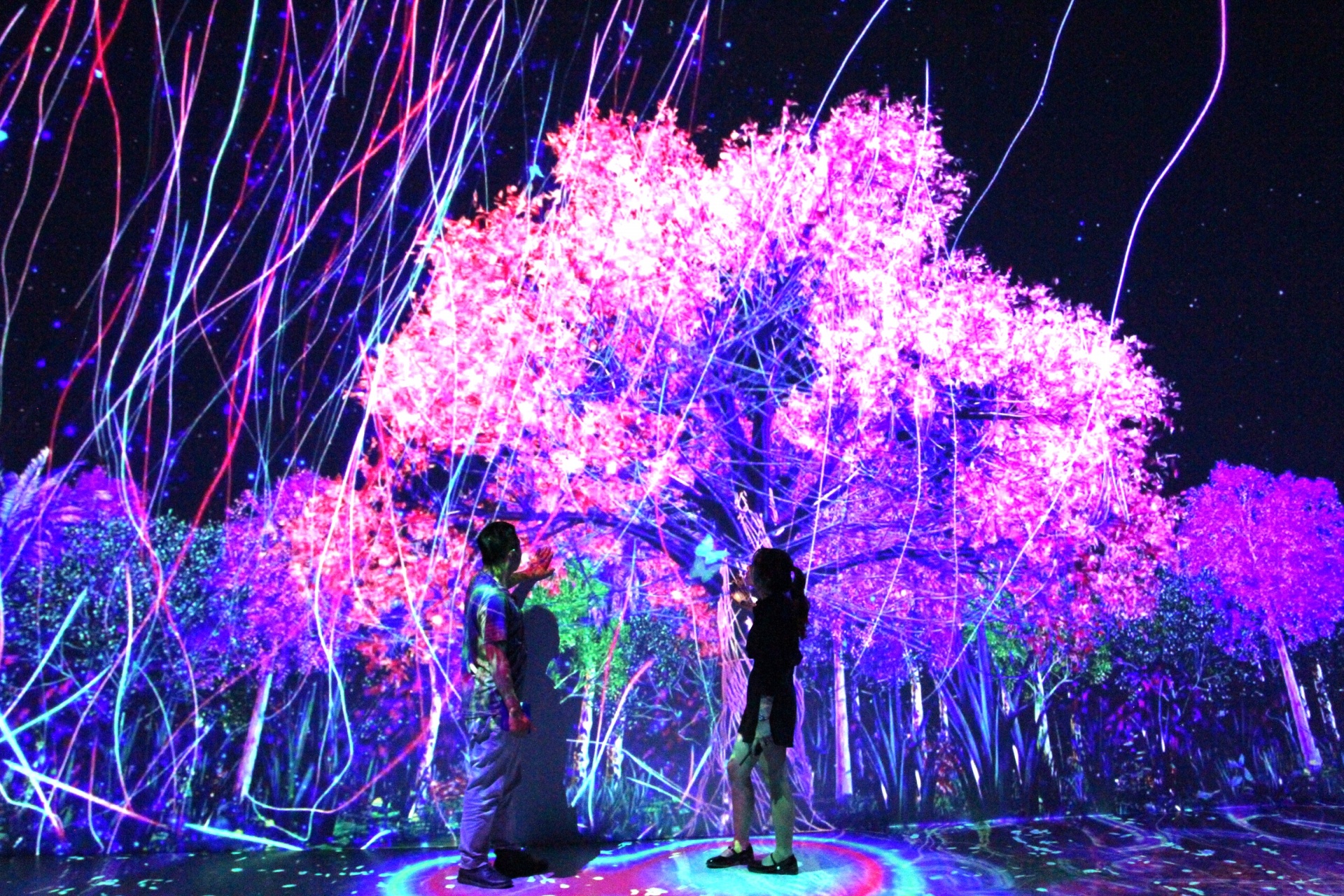 Dương Đỗ - “chú ong thợ” của những không gian sáng tạo Dương Đỗ - “chú ong thợ” của những không gian sáng tạo