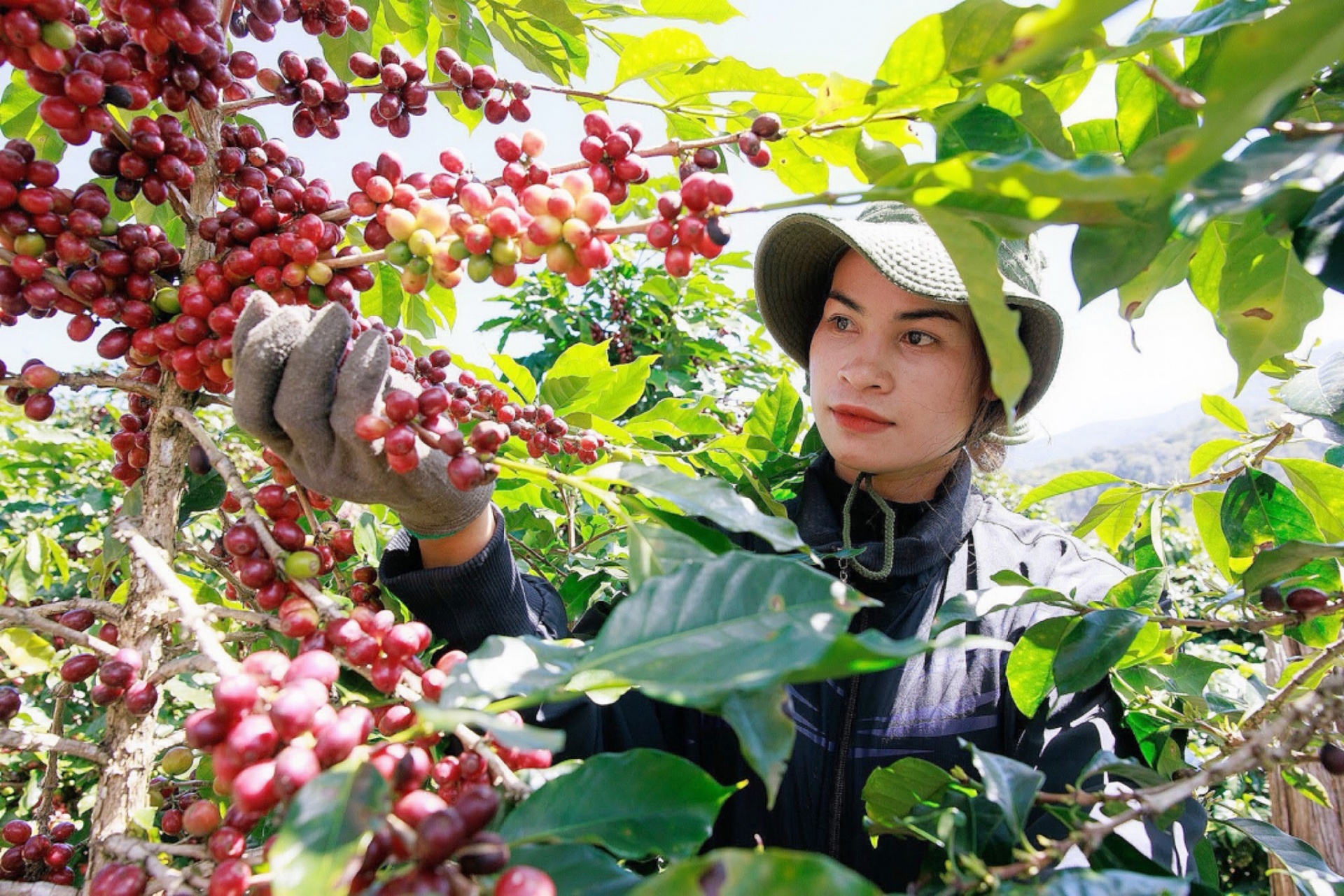 Học hỏi, đưa những cải tiến vào sản xuất Học hỏi, đưa những cải tiến vào sản xuất
