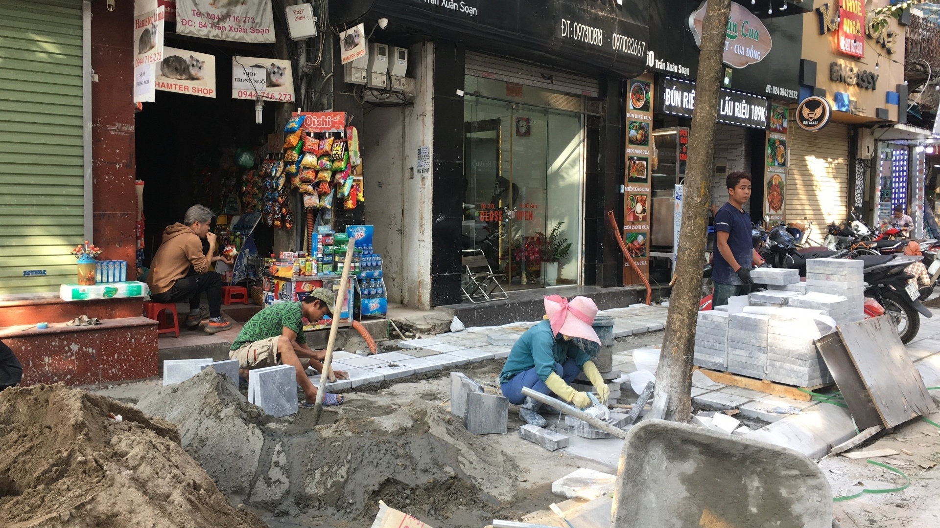 Mỗi năm hoa đào nở, lại thấy lát vỉa hè