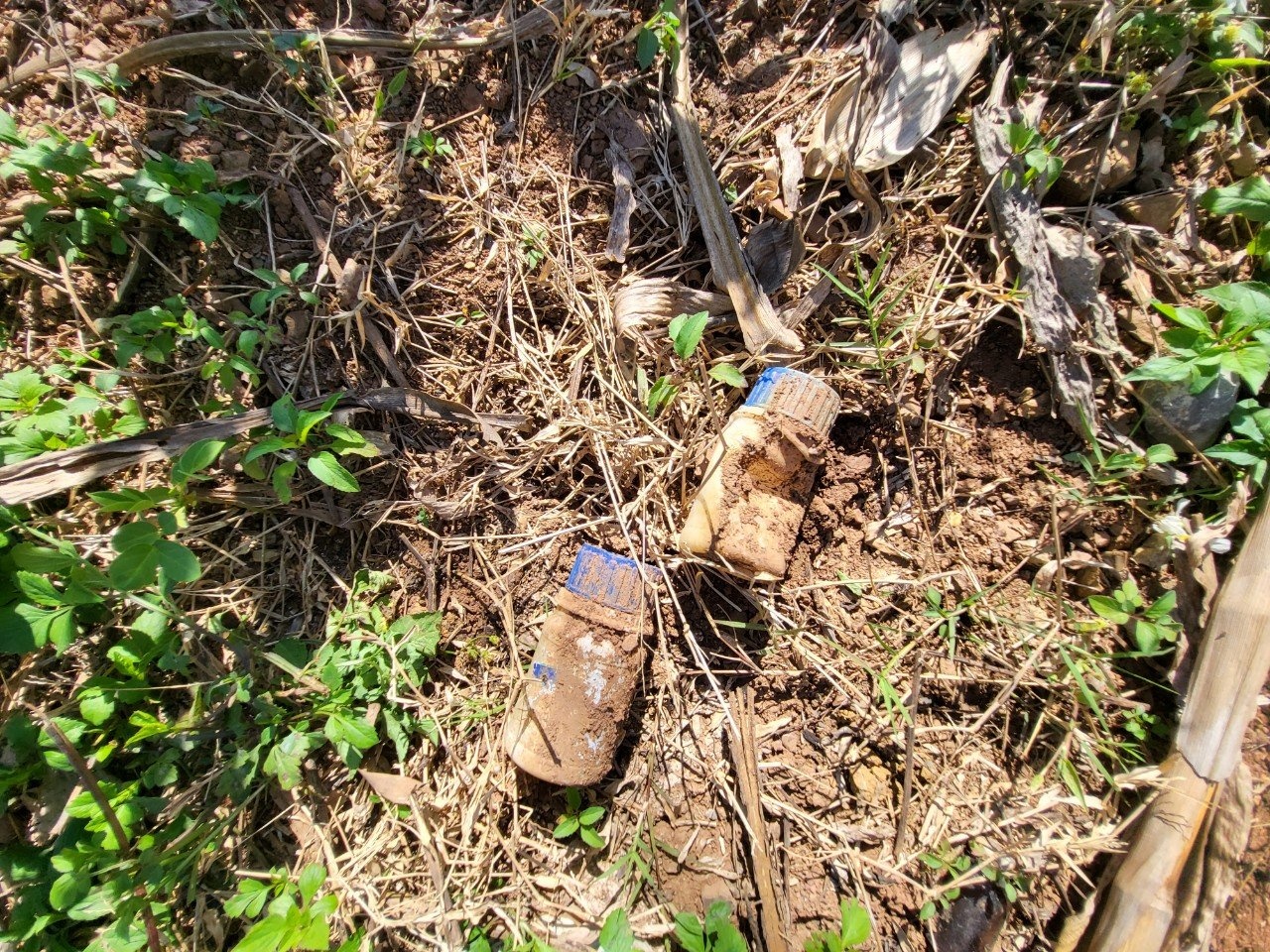 Nâng cao ý thức bảo đảm an toàn lao động của nữ nông dân trồng cà phê