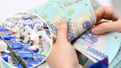 Từ 1/7/2024, lương tối thiểu vùng sẽ tăng thêm bao nhiêu nếu được thông qua?