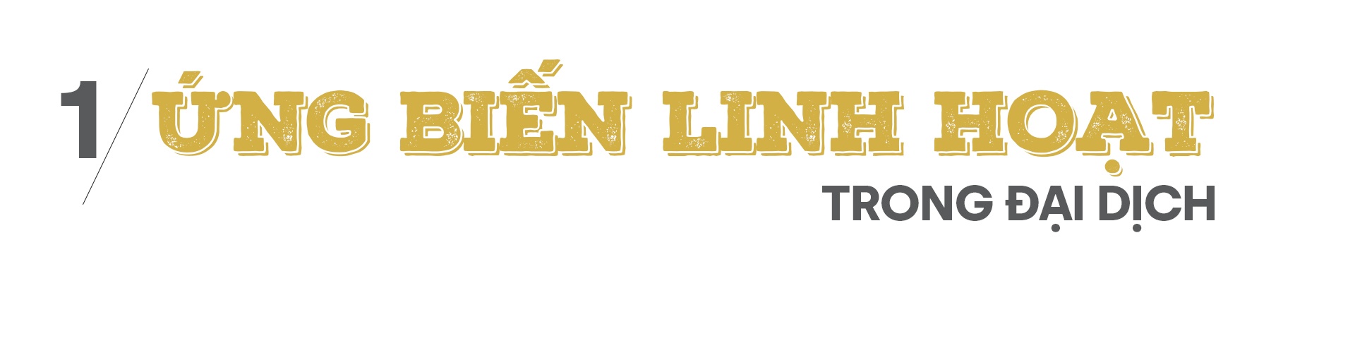 Thích ứng để phát triển: Mấu chốt trong bối cảnh mới của tổ chức Công đoàn Thích ứng để phát triển: Mấu chốt trong bối cảnh mới của tổ chức Công đoàn
