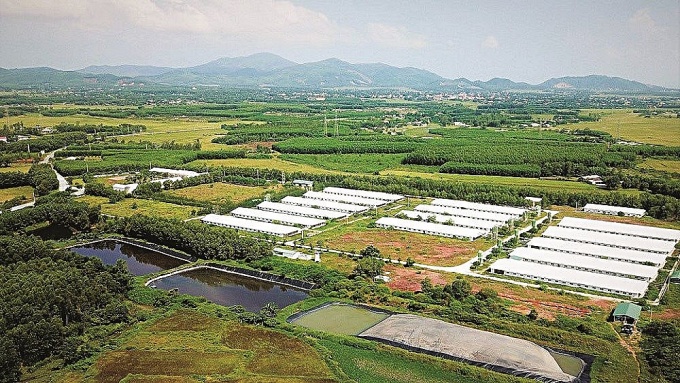 Công ty CP Chăn nuôi - Mitraco tuyển dụng lao động nam