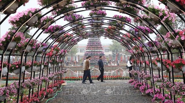 “Bội thực” lễ hội