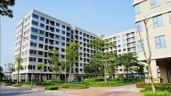 Có 36.262 căn nhà ở xã hội đã hoàn thành và được cấp phép, khởi công xây dựng