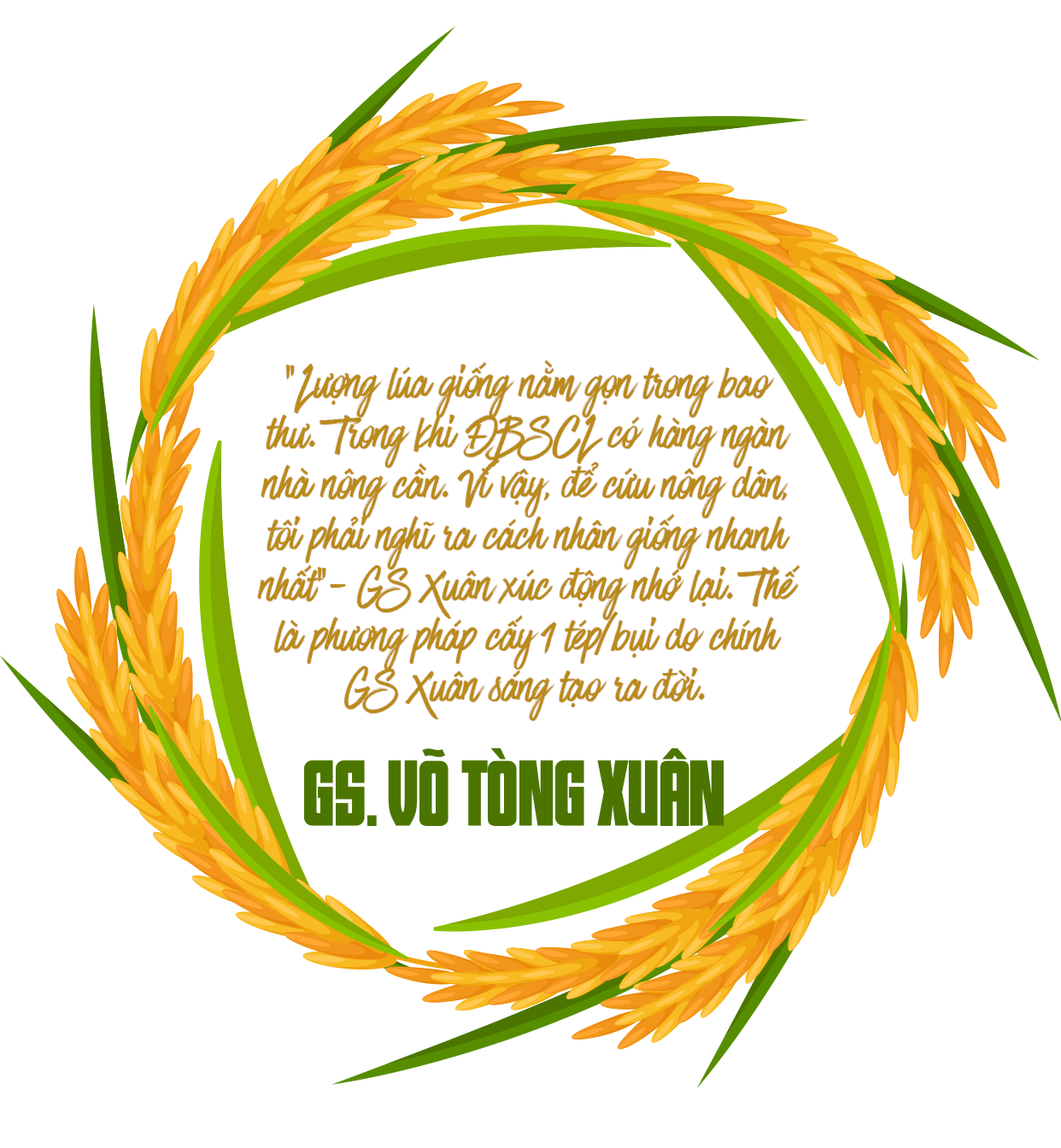 “Hiệp sĩ” lúa Võ Tòng Xuân