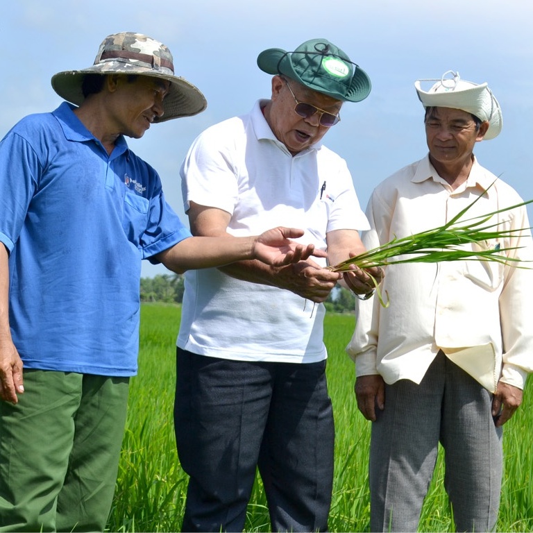 “Hiệp sĩ” lúa Võ Tòng Xuân