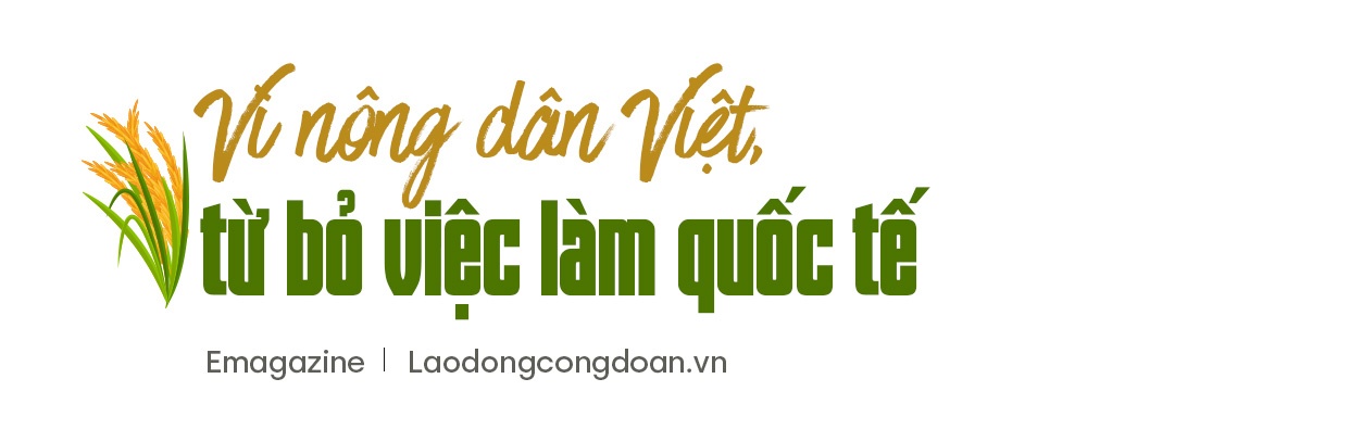 “Hiệp sĩ” lúa Võ Tòng Xuân