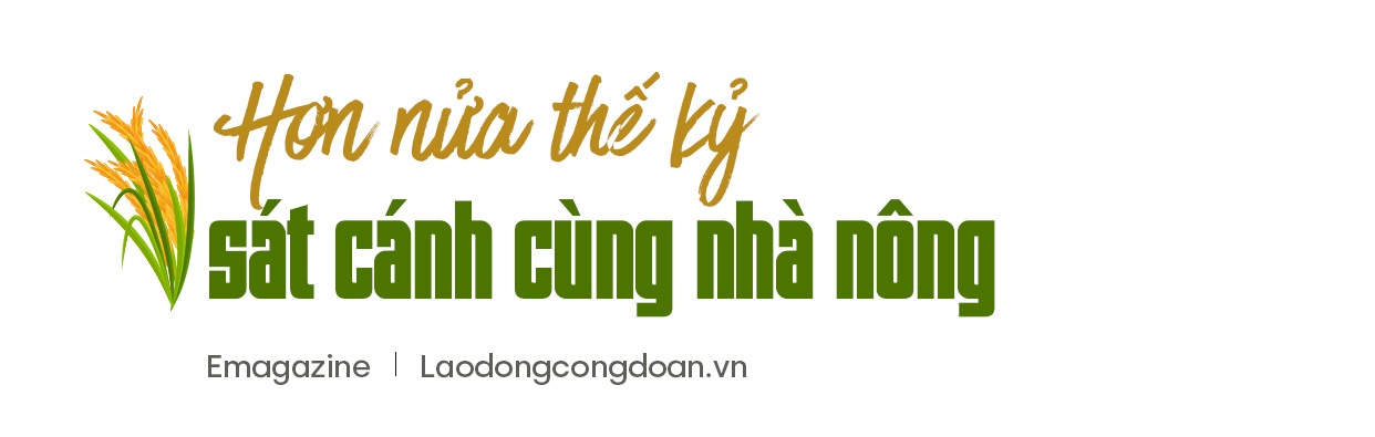 “Hiệp sĩ” lúa Võ Tòng Xuân