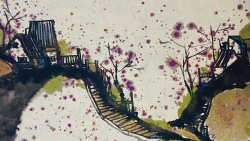 Hoa tầm xuân ngái ngủ